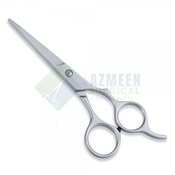 Economy Scissor