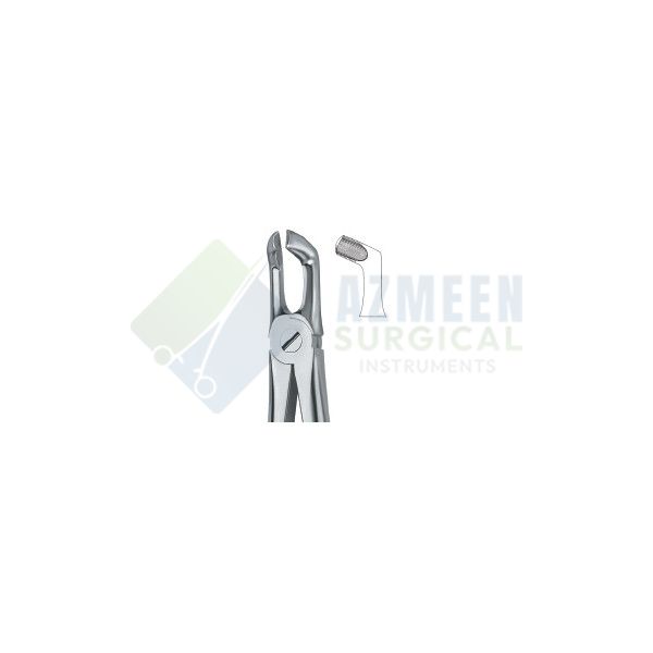 Third Molars 79A