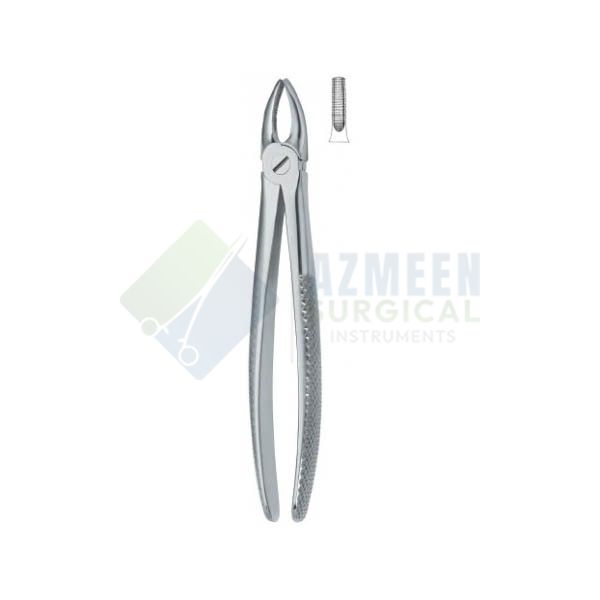 Incisors and Bicuspids 1 