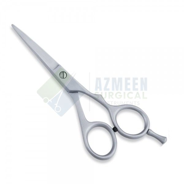 Economy Scissor