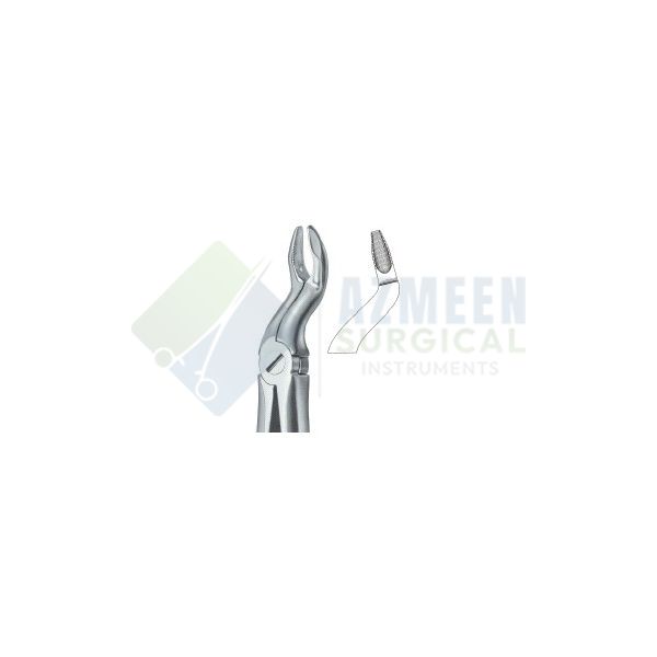 Third Molars Deep Griping 67 N 