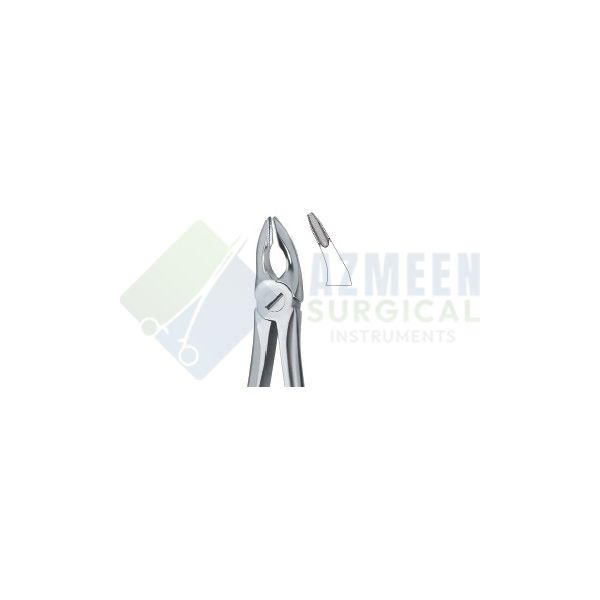  Incisors and Bicuspids 35N