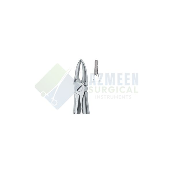 Tooth Ext Forceps