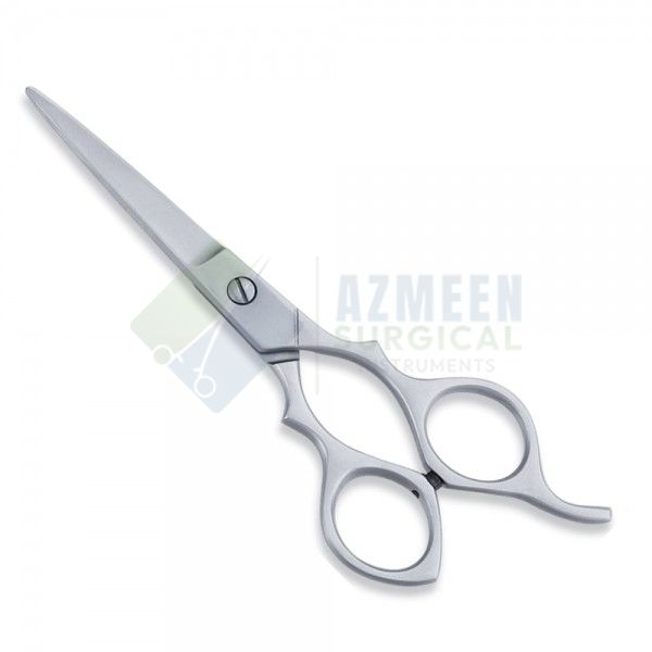 Economy Scissor